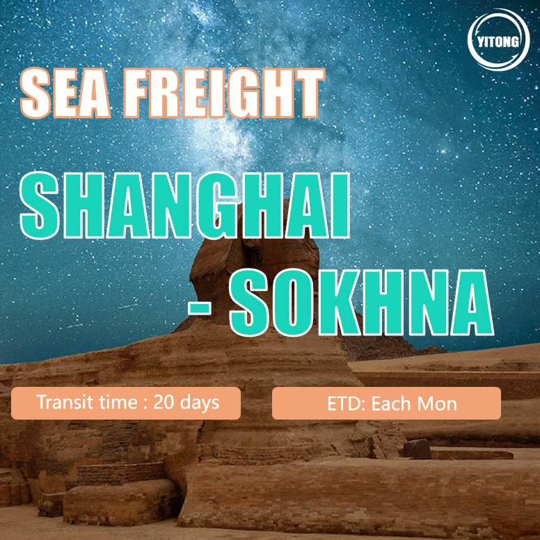 Shipping Agent Freight Forwarding Shipping Agent LCL FCL Weekly Sailing Fast Transit Sea Freight From Shanghai Shenzhen China to Sokhna Port Egypt