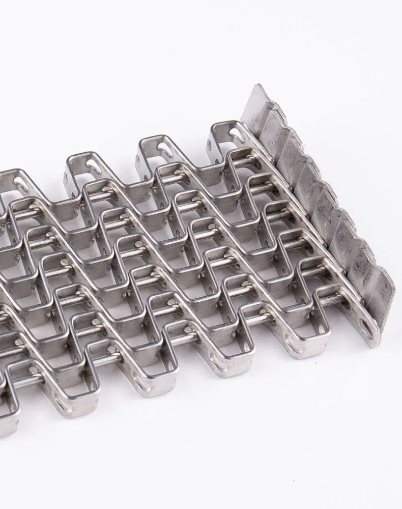 Conveyor Belt Detail 1