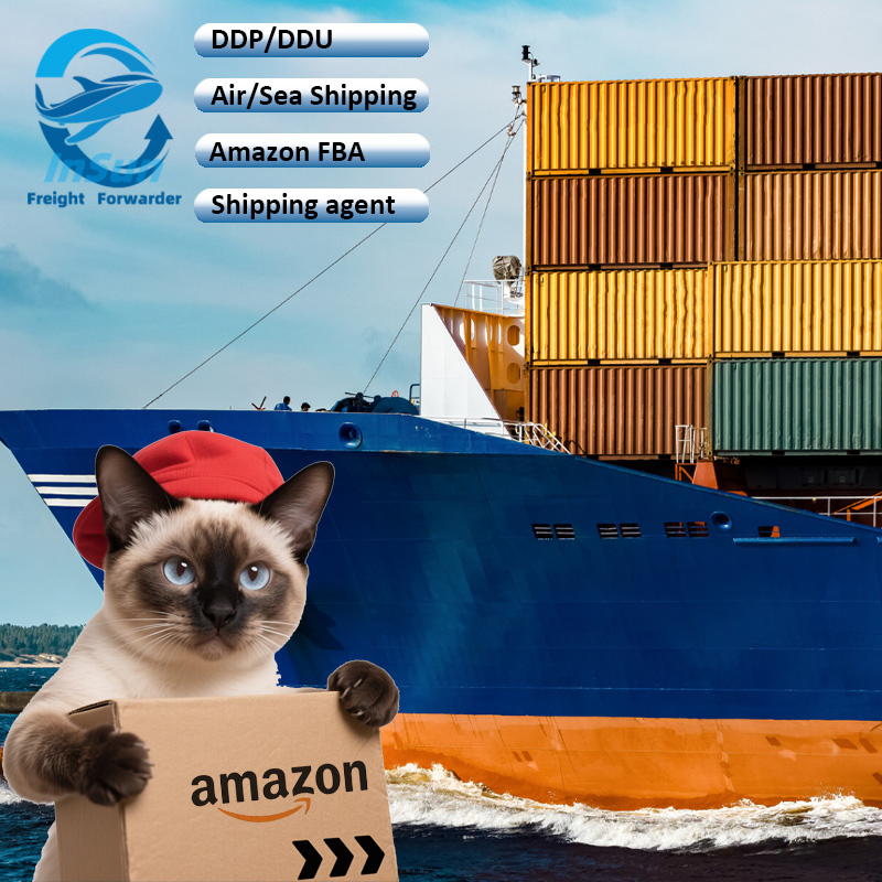 Professional Sea Shipping Amazon Fba Logistics Service From China to Taly Spain Poland Czech Japan USA with Tax Optimization