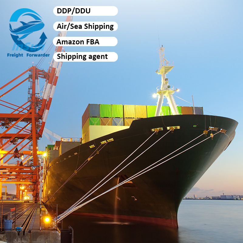 Comprehensive Air/Sea Freight Forwarding Services for Amazon Fba, Door-to-Door From China to Germany