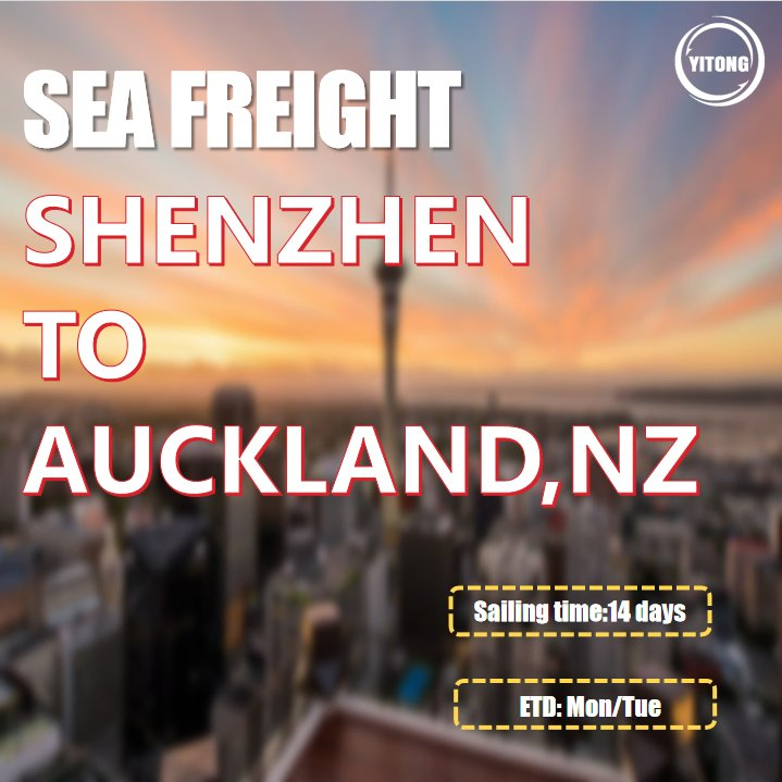 Cargo Agent Freight Logistics Agent Freight Forwarding Transportation Wholesale Cargo Ship for Sale From Shanghai Sea Freight to Auckland New Zealand