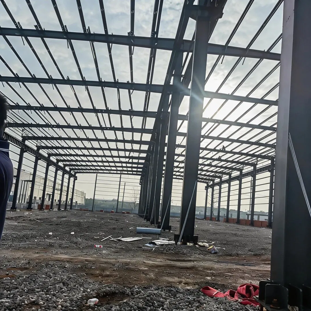 Cost Effective Steel Structure Warehouse with Large Span Design