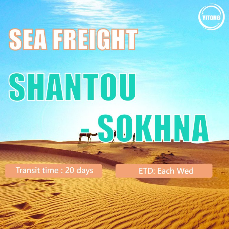 Shipping Agent Freight Forwarding Shipping Agent LCL FCL Weekly Sailing Fast Transit Sea Freight From Shanghai Shenzhen China to Sokhna Port Egypt
