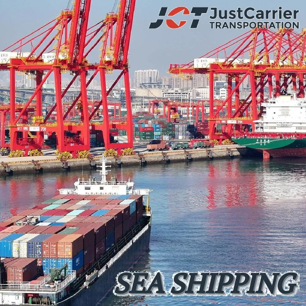 Full Container Sea Shipping Agent Ocean Freight Forwarder From China to Altamira, Mexico