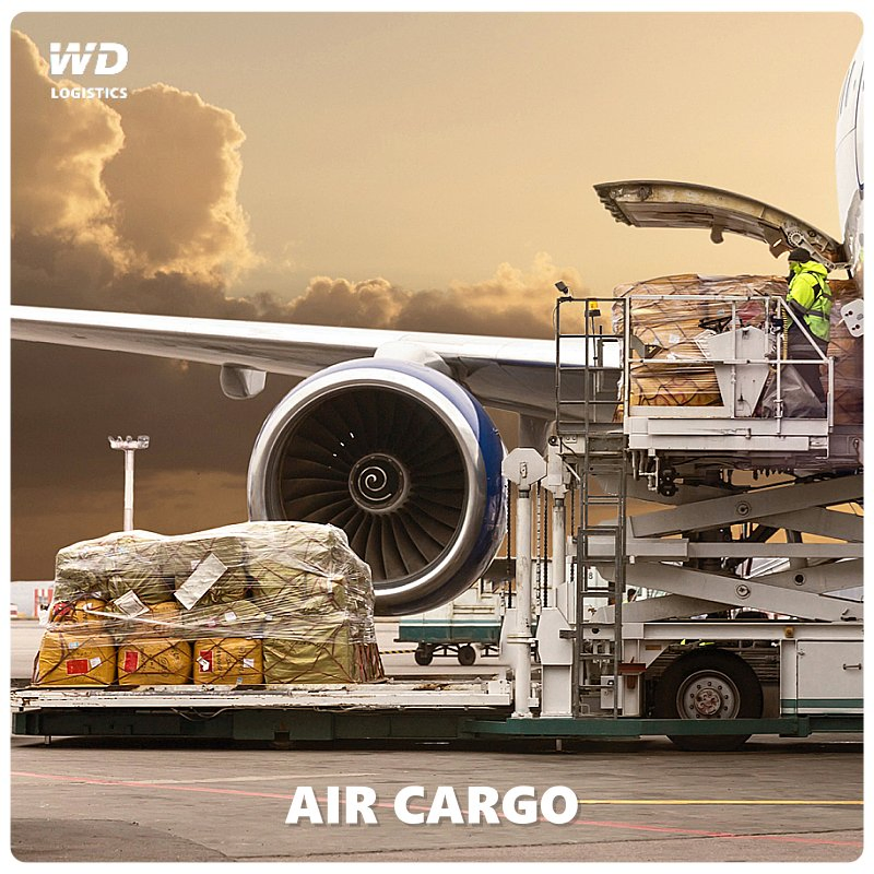 Air Freight Forwarding Service to Russia From Shenzhen China Zhejiang Freight Forwarding Agent
