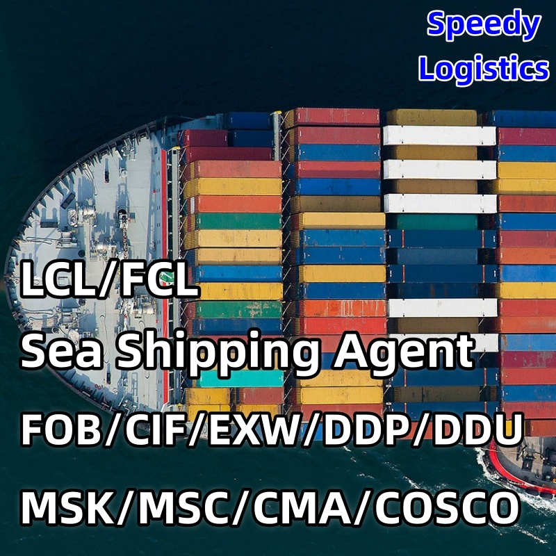 Sea Shipping Agent From China to Algiers, Algeria, USA, Dakar Air Sea Freight Forwarder Container Shipping