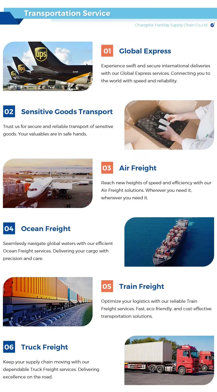 DDP DDU DAP Sea Freight Forwarder Agent Shipping From China to Dubai Saudi Arabia UAE