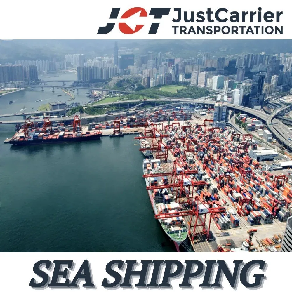 Professional Ocean Freight Forwarder for DDU/DDP Sea Shipping to Saskatoon, Canada