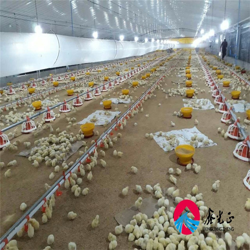 Stylish and Functional Chicken Coop Solutions for Every Space