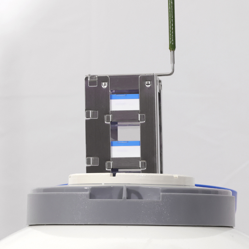 Tccryo Yds-10 Liquid Nitrogen Bottle Lightweight Large Caliber 125mm Freezer Rack Cryo Cell Storage Container for Sample Tracking