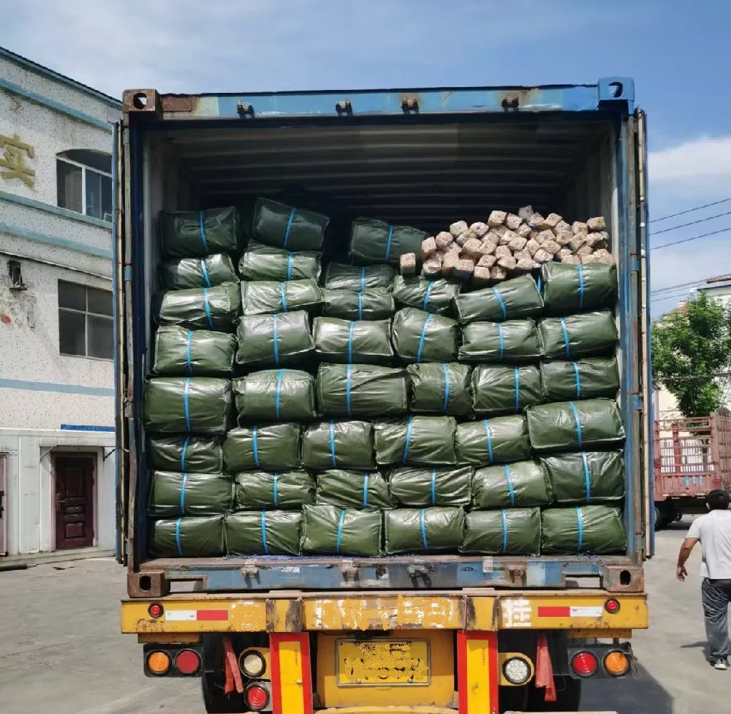 Shipping Container Agent Sea Freight Forwarder DDU DDP From China to Canada