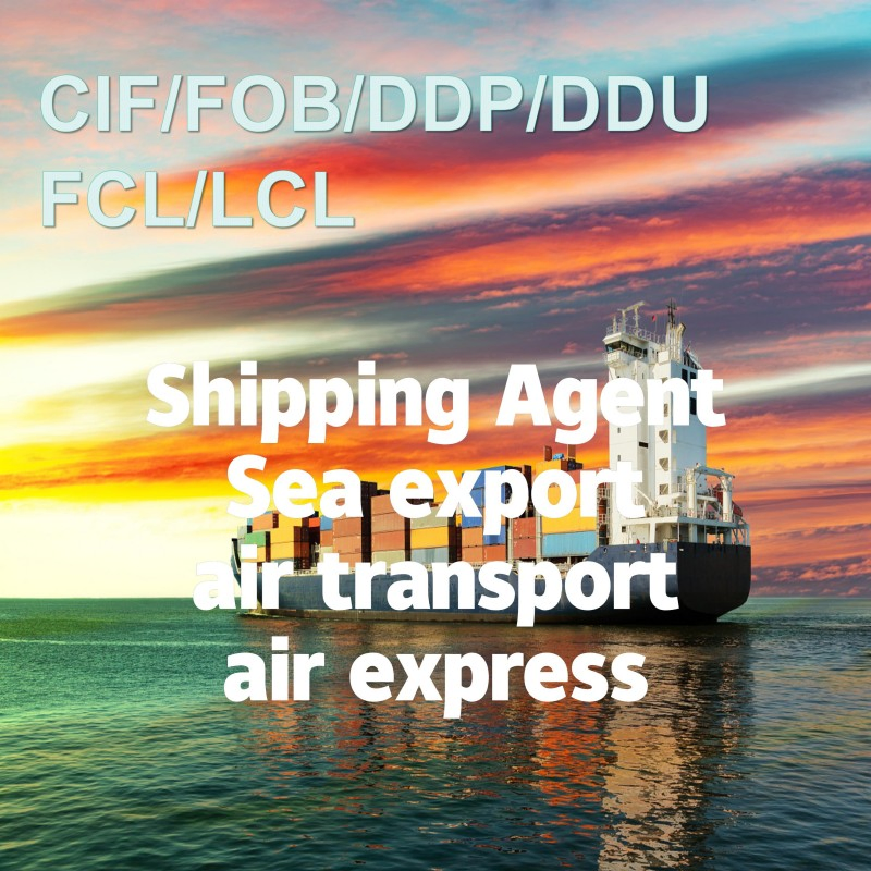 Greece Freight Forwarder Shipping Services From China/Fob/DDP/DDU to Greece, CIF Servies in China, FCL/LCL Freight Shipping in China Tomontenegro/Croatia/Sloven