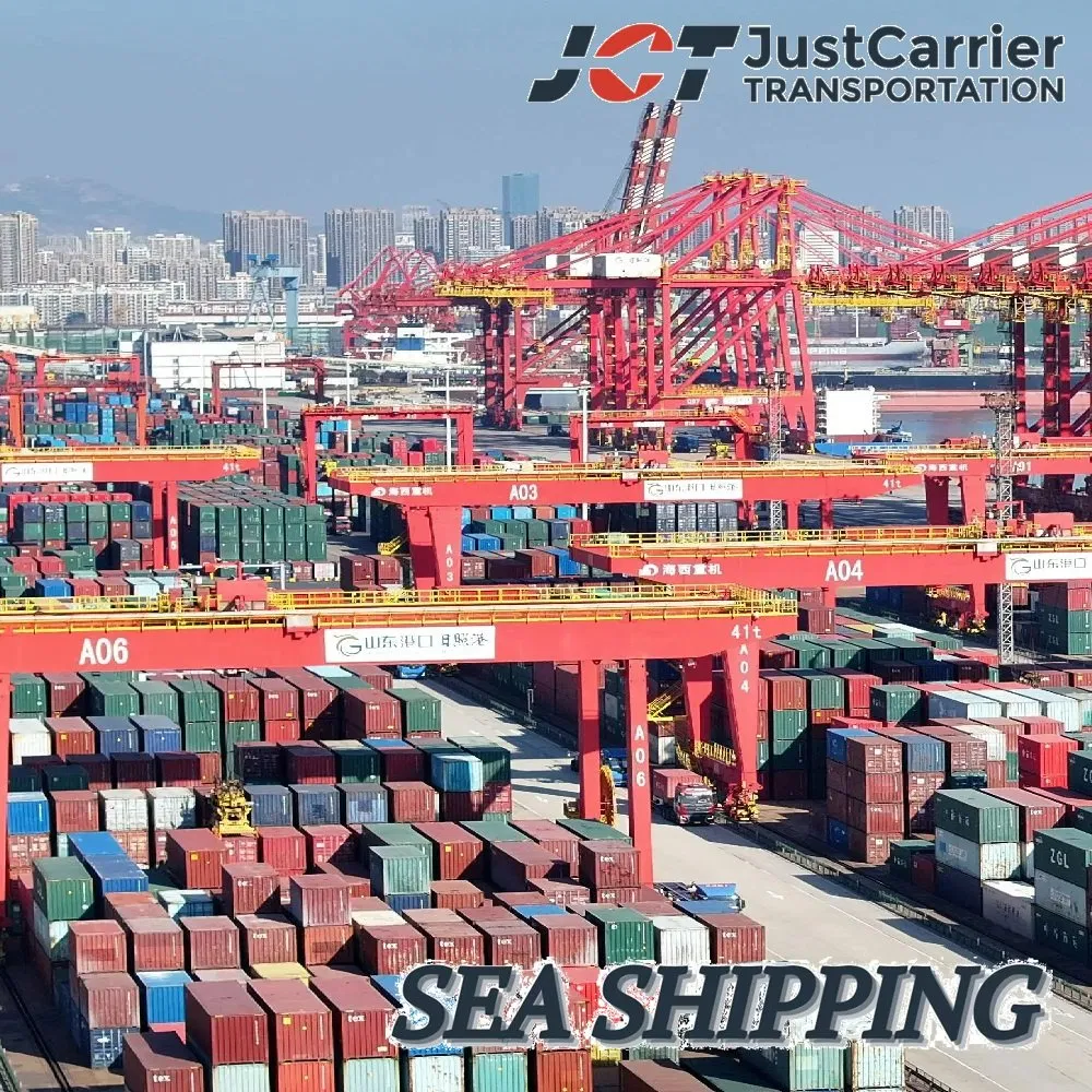DDU/DDP Container Logistics Forwarder Sea Freight Ocean Shipping Agent to New York