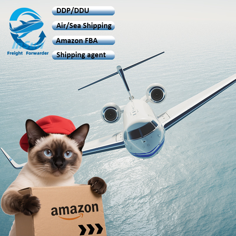 Top 10 Air Freight Forwarder Door to Door Express Delivery DDP Services From China to UK Us