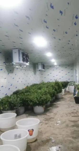 Live Pig Mobile Cold Storage Container