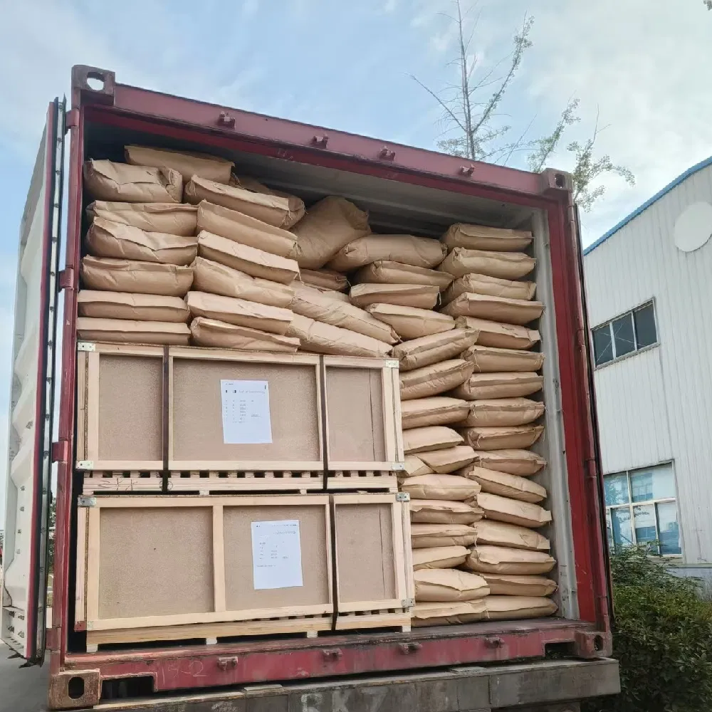 EXW/Fob/Fca/DDU/DDP/DAP/to Door Service Ocean Shipping Agent Sea Freight Forwarder