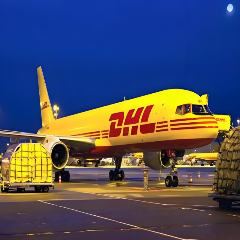 FCL LCL Sea Shipping Forwarder with Cheapest Freight Rates Sea Shipping