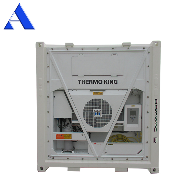 New Thermo King Freezer 6 Meter Length 20FT Reefer Container