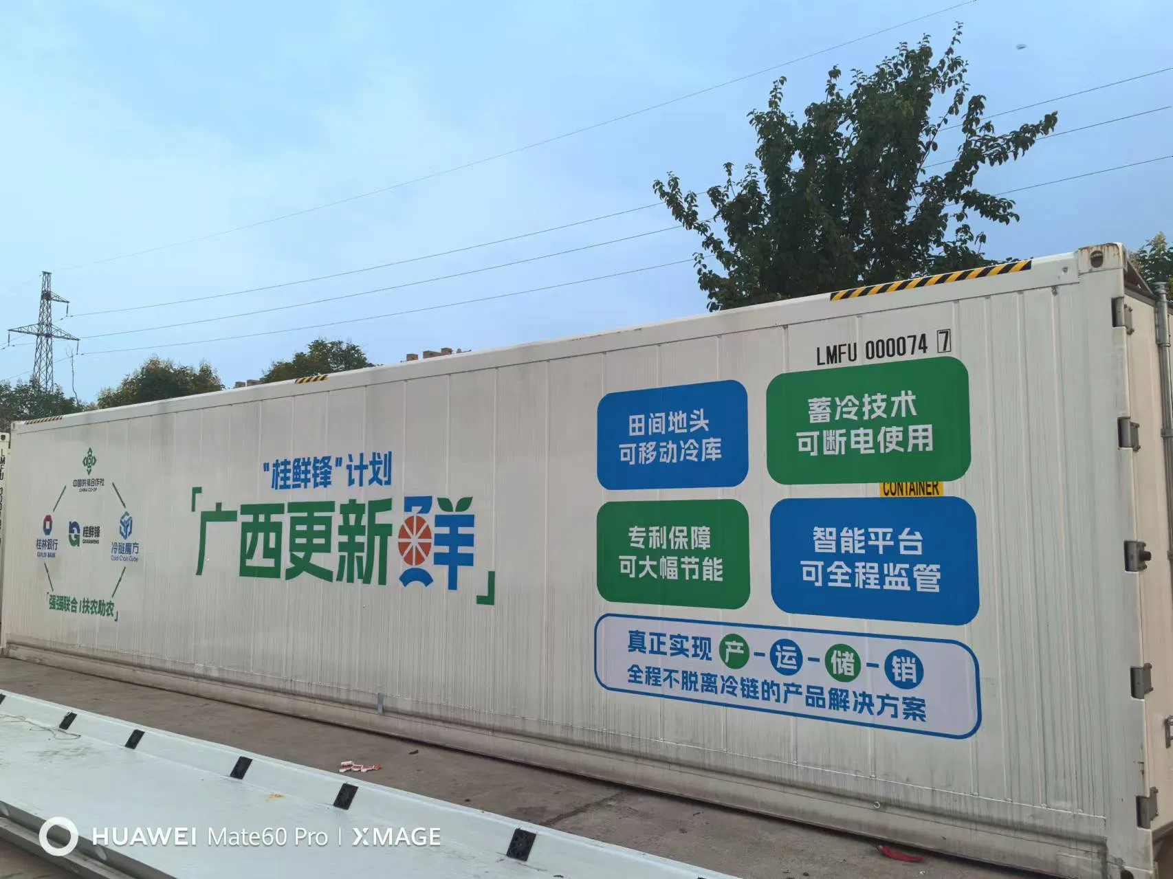 Frozen Dumplings Mobile Cold Storage Container