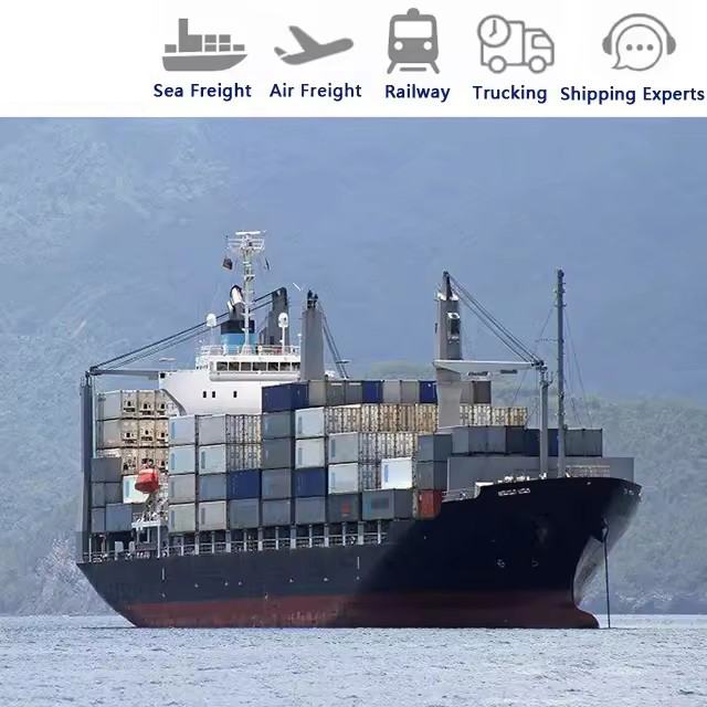 The United States Shipping Door to Door Double Clearance Tax DDP Cross-Border E-Commerce Amazon Fba