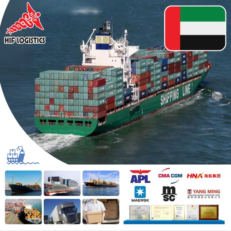 Reliable Sea Freight Forwarding Services to UAE and Saudi Arabia