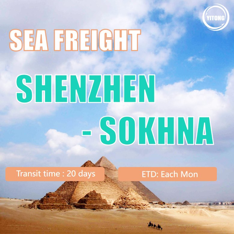 Shipping Agent Freight Forwarding Shipping Agent LCL FCL Weekly Sailing Fast Transit Sea Freight From Shanghai Shenzhen China to Sokhna Port Egypt