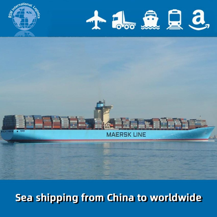Value-Priced Ocean Sea Freight Forwarding Service From China to Chile Region