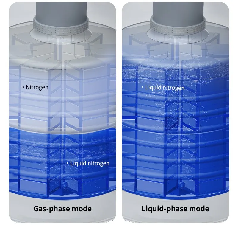 Cryogenic Storage Solutions