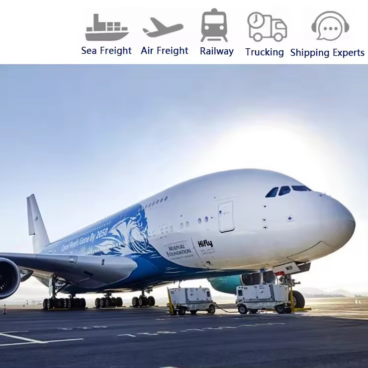 Logistics for LCL/FCL /Airfreight Shipping Double Clearance to South Africa