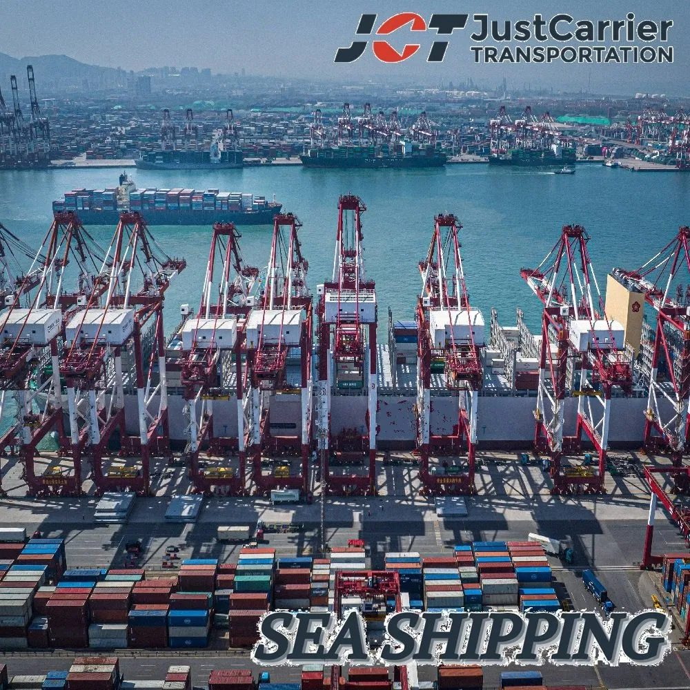 Container Shipping Transportation Service Sea Shipping Agent Sea Freight Forwarder to Paraguay