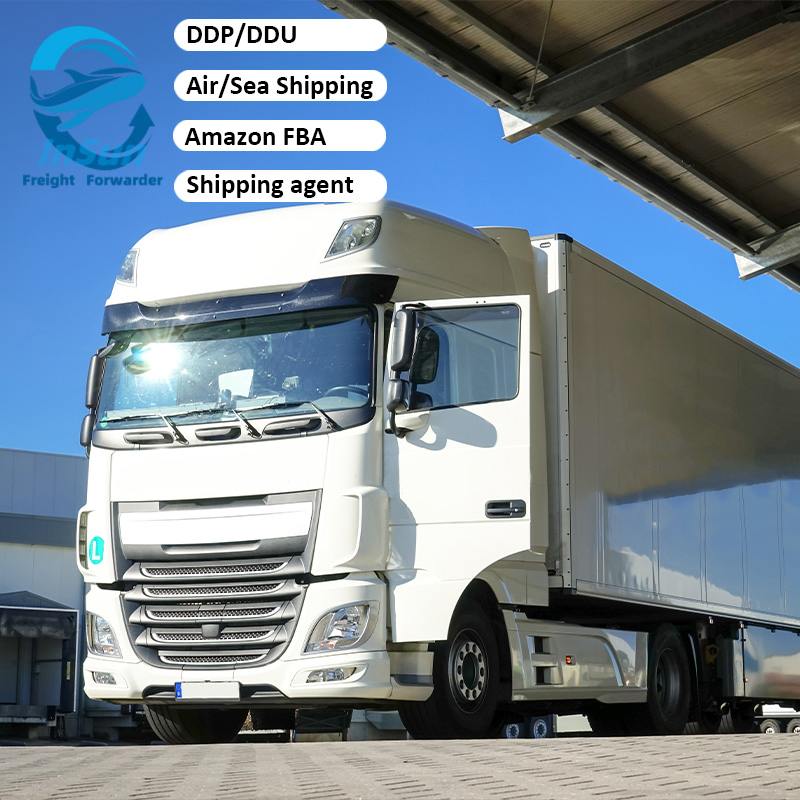 Comprehensive Air/Sea Freight Forwarding Services for Amazon Fba, Door-to-Door From China to Germany