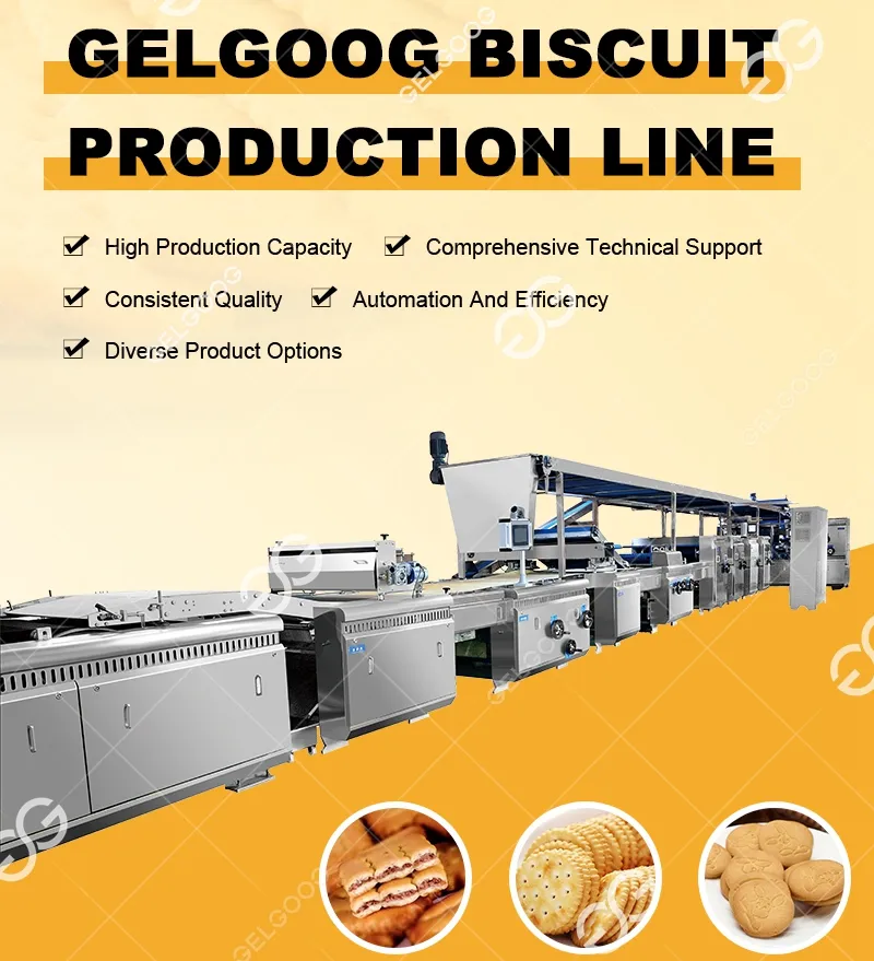 Biscuit Production Line Overview