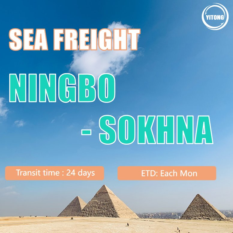 Shipping Agent Freight Forwarding Shipping Agent LCL FCL Weekly Sailing Fast Transit Sea Freight From Shanghai Shenzhen China to Sokhna Port Egypt