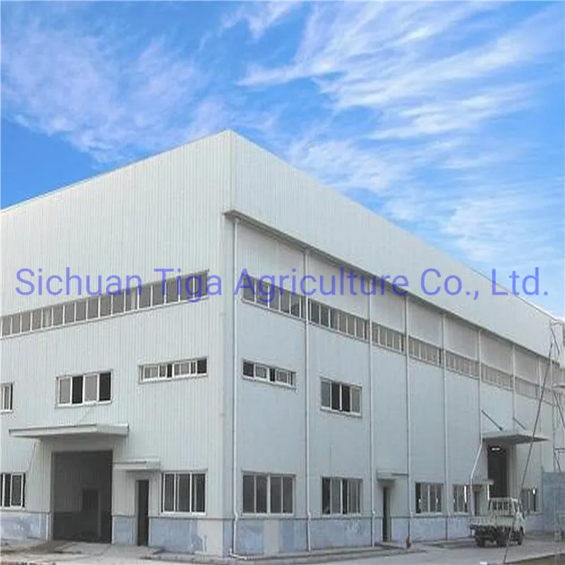 Steel Structure Warehouse 6