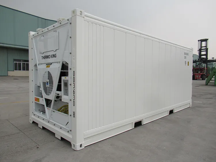 20FT Reefer Container View 4