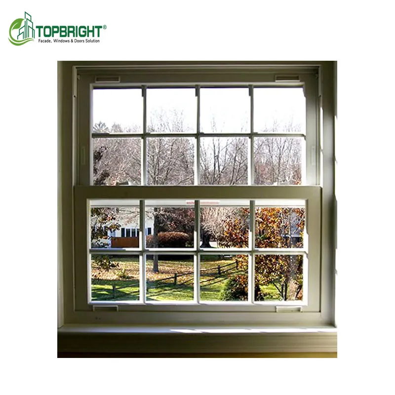 Double Glazed Single Hung Window