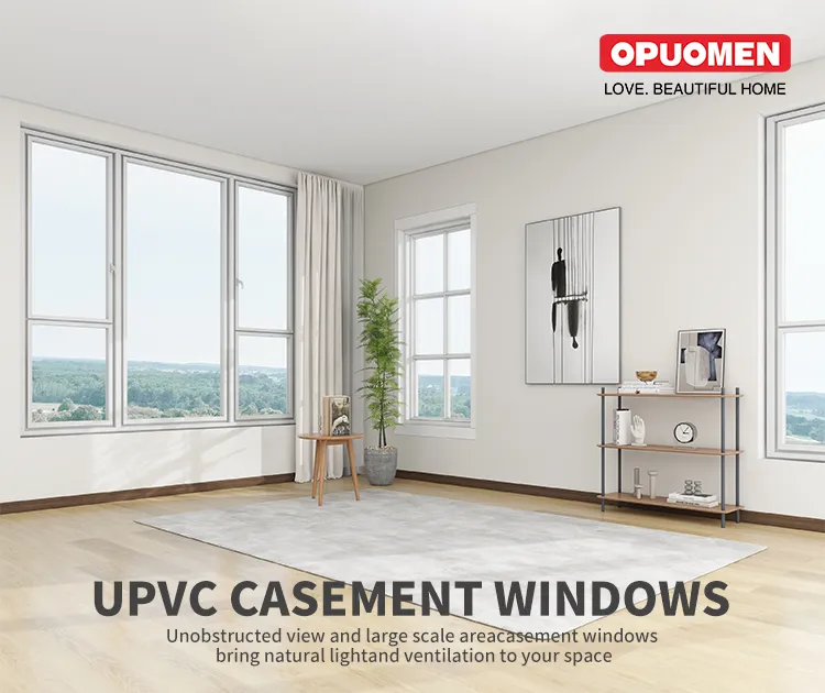 Double Glazed Windows