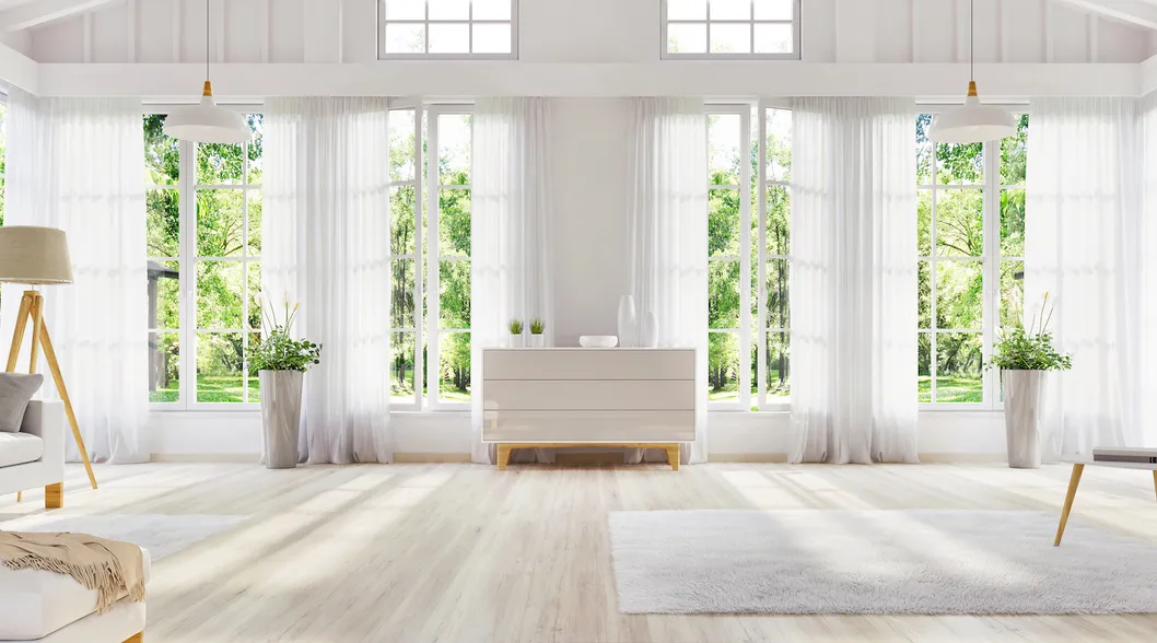 French Window Features