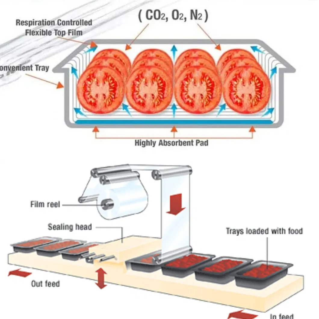 Máquina de Embalagem em Atmosfera Modificada para Selagem de Bandejas de Frutas Frescas e Manutenção de Legumes