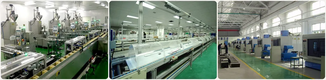 Máquina de Embalagem de Saquinhos de Chá Modelo Dxdd11 com Saída de Caixa de Papelão