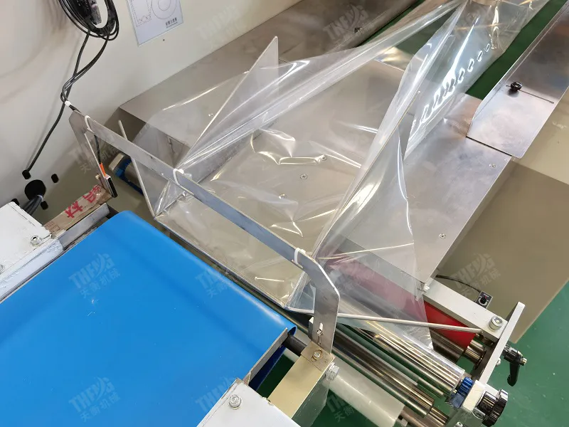 Detalhe Máquina de Embalagem 7