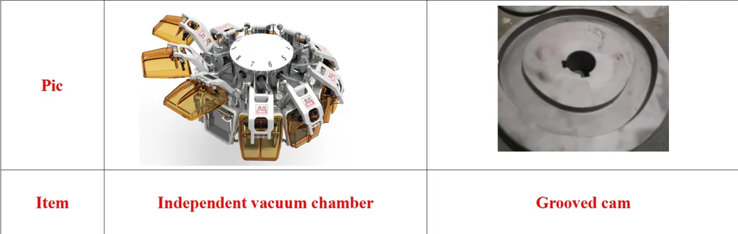 Detalhes da Máquina de Embalagem a Vácuo
