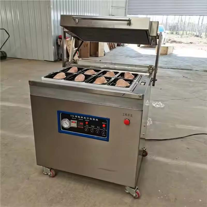 Máquina Seladora a Vácuo Comercial para Embalagem a Vácuo de Carne e Alimentos Congelados para Processamento e Embalagem