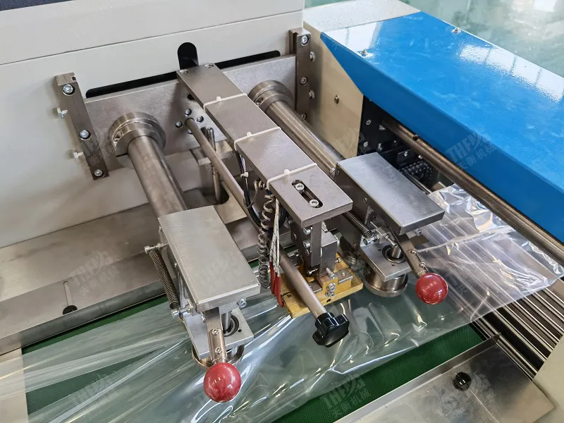 Detalhe Máquina de Embalagem 6