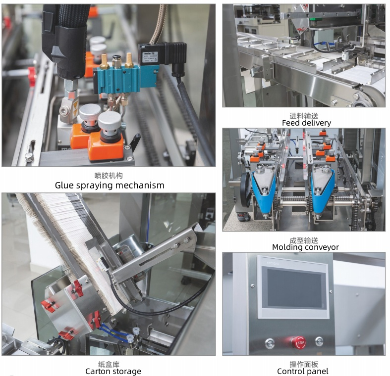 Máquina de Embalagem de Caixa de Cartonagem Automática para Snacks de Biscoito
