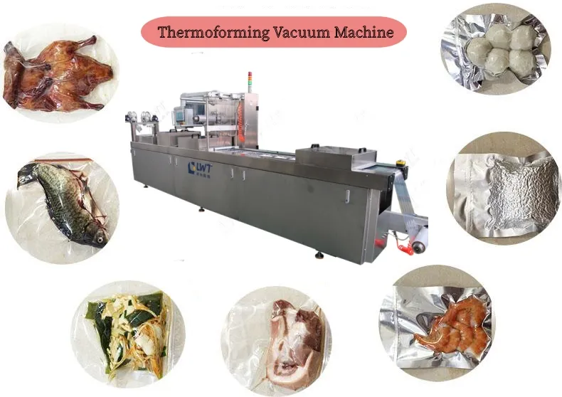 Máquina de Embalagem a Vácuo Termoformadora