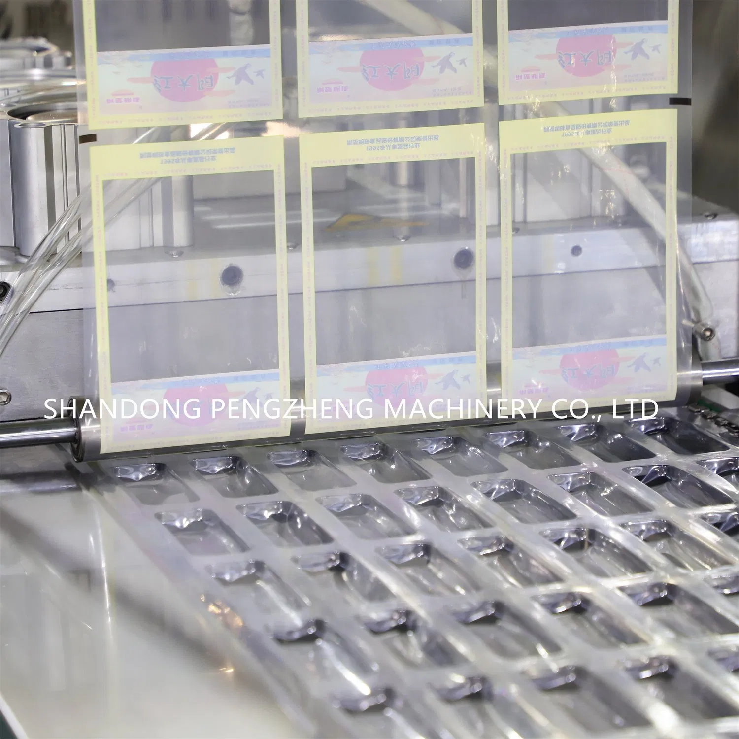 Máquina de Embalagem a Vácuo para Queijo com Termoformagem Automática Inovadora