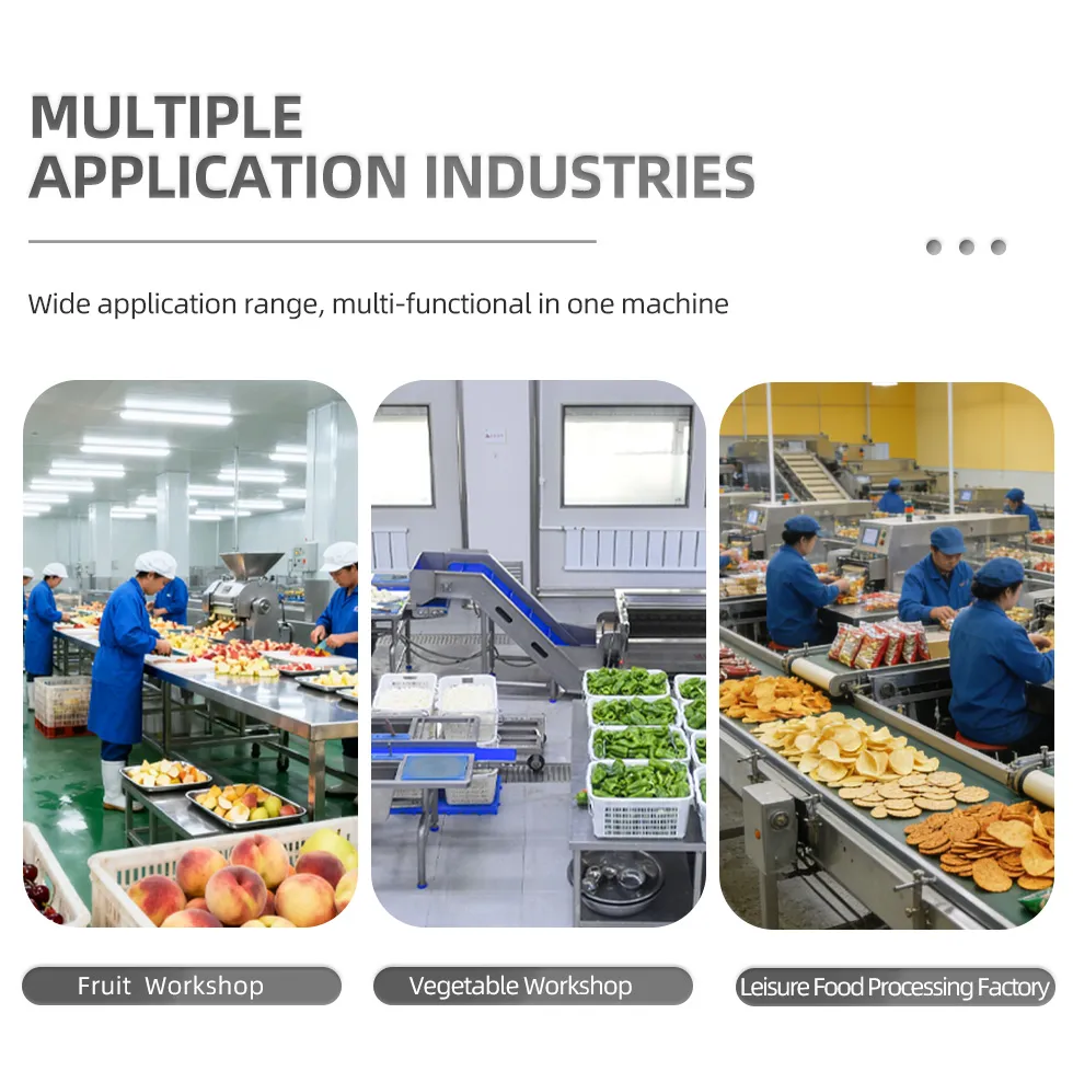 Linha de Secagem a Ar Flip para Frutas e Vegetais Máquina de Secagem de Sacos de Embalagem de Alimentos para Processamento de Vegetais