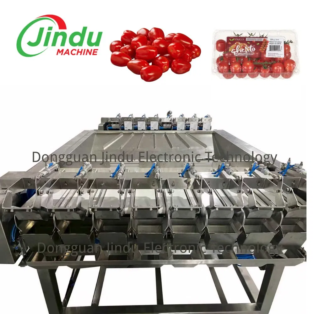 Linha de Embalagem de Clamshell de Tomate Cereja Delicado Sistema de Pesagem Multicabeça
