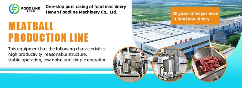 Linha de Produção de Almôndegas Turnkey de Alta Capacidade com Mistura a Vácuo, Formação de Precisão, Processamento Térmico e Embalagem Automática para Fábricas de Alimentos em Grande Escala